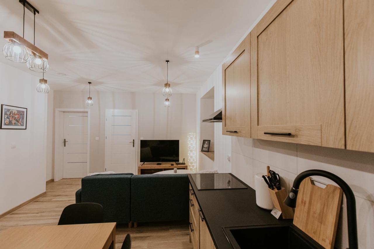 Zapomniany Zdroj Apartment *
