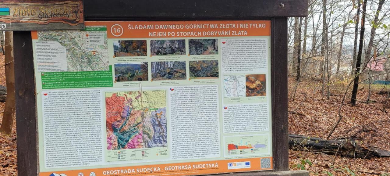 Zapomniany Zdroj